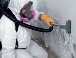 Best Commercial Mold Inspection in Newport, VT